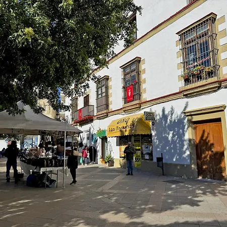 Palmeras - Ole Solutions