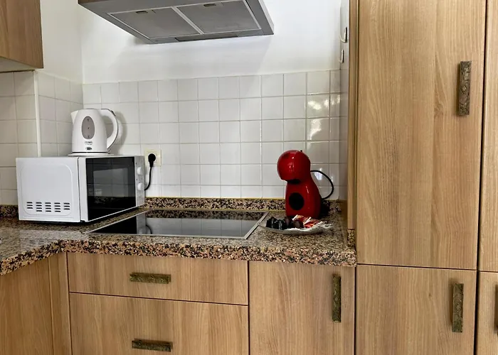 Palmeras - Ole Solutions