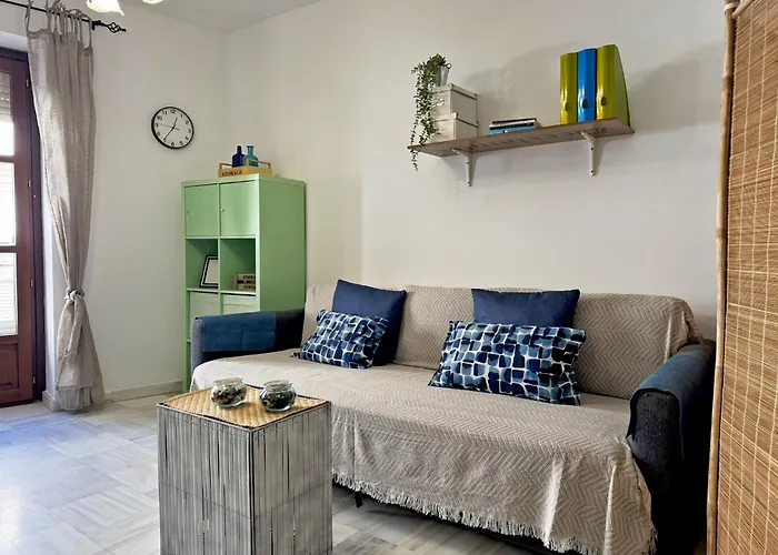 Palmeras - Ole Solutions * 헤레스