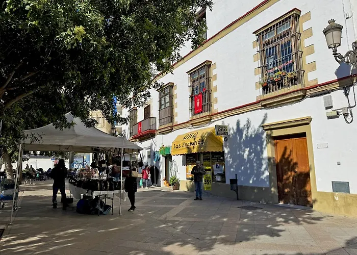 Palmeras - Ole Solutions