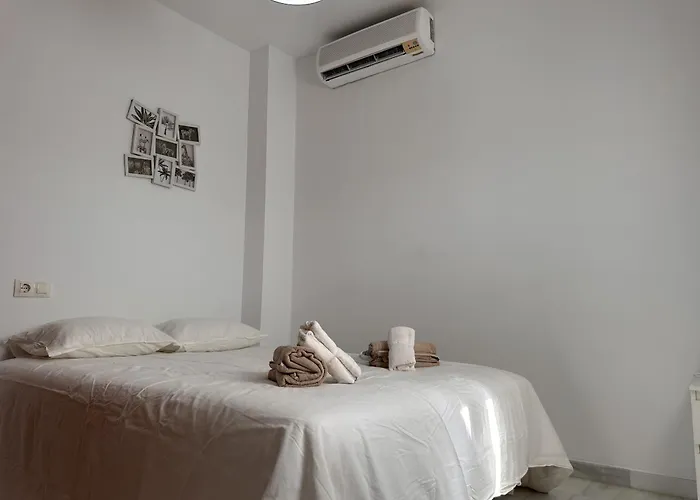 Palmeras - Ole Solutions