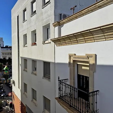 Palmeras - Ole Solutions * Jerez de la Frontera