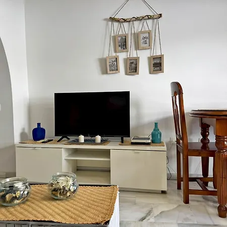 Palmeras - Ole Solutions *